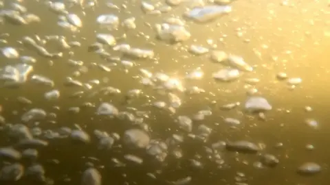 Bubbles in murky water