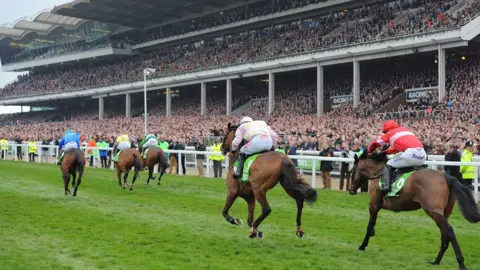 Getty Images Horses running at Cheltenham
