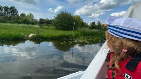 Sophie Bell Person on boat looking at seal on the river bank