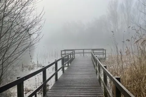 Curly Claire Fog at Holme Pierrepont