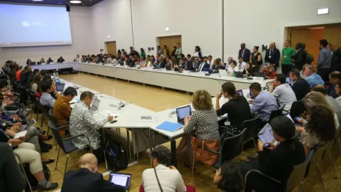 KIARA WORTH/IISD/ENB Climate meeting