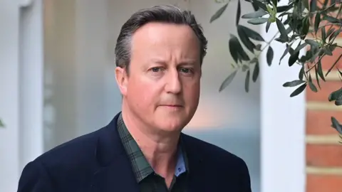 Getty Images David Cameron