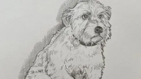 City of Lincoln Council Artist impression of Snips the dog