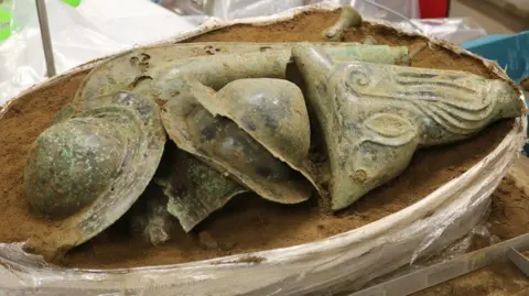 Norfolk Museums Service Hoard of Iron Age finds appearing from a block of sandy soil in a lab. Only the top layer can be seen, showing three shield bosses in the middle and on the right a boar's head, 