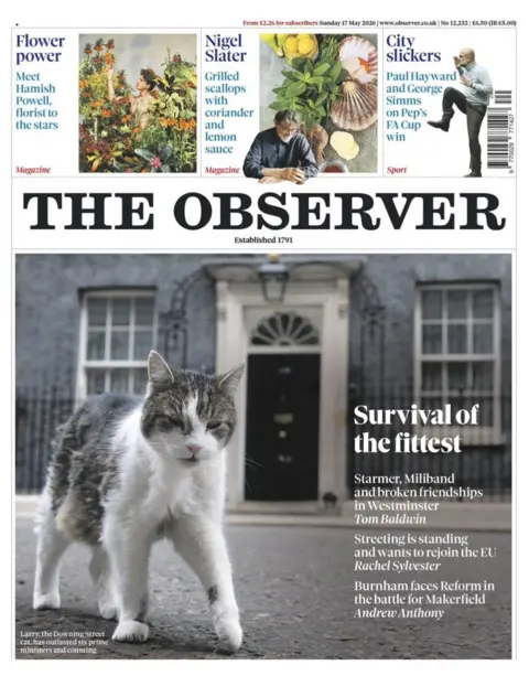 Observer