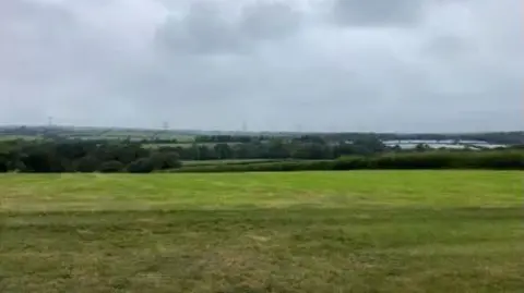 A green field at Pyworthy with trees and power lines in the distance - the proposed site for the battery energy storage facility