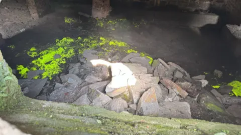 A luminous green spread of moss glints in a dark cave. In front of the moss is a pile of old bricks that are allowing a bright show of sunlight that is allowing the moss to photosynthesise and survive. 