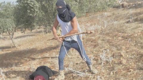 Violence Erupts in Olive Harvest: Masked Settler Attacks Palestinian Woman