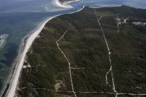 FLS An aerial image showing Culbin Forest. The landscape is densely covered in trees, and criss-crossed with tracks. 