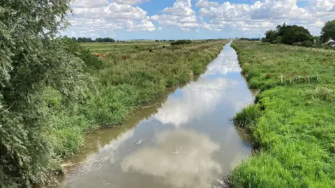 A narrow waterway is surrounded by grassland, there are some trees in the distance.