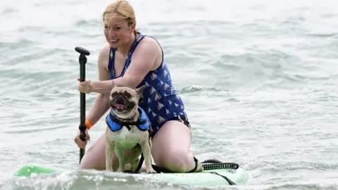 PA Media Dog Masters 2022