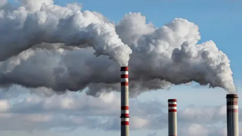 Getty Images Smoke is pouring out of the chimneys of the power plant.