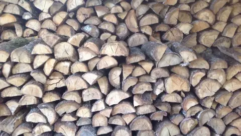 Mark Bauwens Mark's log pile.