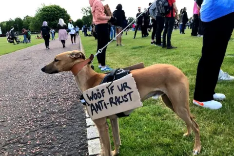 Anti-racist dog in Holyrood park