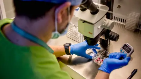 Getty Images Fertility clinic