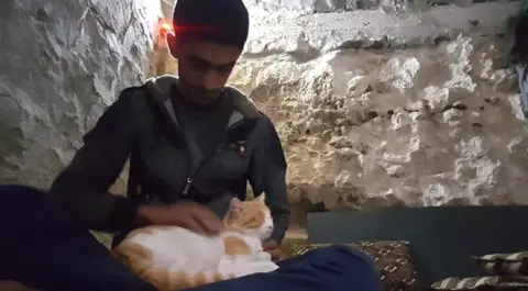 BBC Salah's cats