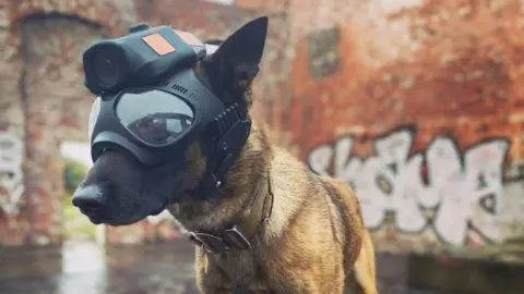 Heliguy A police dog wears a helmet and mask with a camera built in