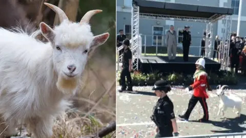 Crown | George Herd Fusilier Shenkin IV in the wild and an inset image on his in his regimental colours