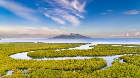 Chris Scarffe A landscape shot of a mangrove forest with a winding river passing through it with a volcano in the distance