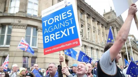 PA Anti-Brexit demonstrators