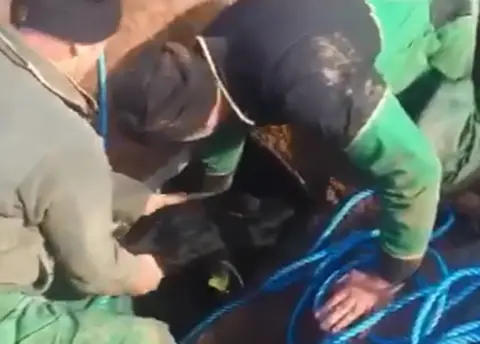 Grace Tait Osborne Rescue moment