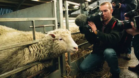 Getty Images Dolly the sheep