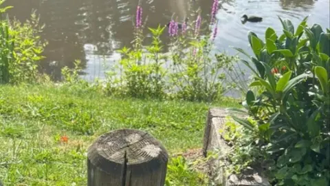 Philippa Etheridge   Empty wooden post on edge of pond with green grass and water behind