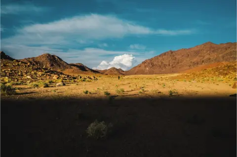 Nour el Din Sherif Sinai Trail