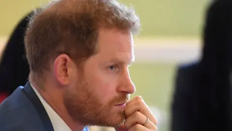 Reuters 2019 file picture of Prince Harry, Duke of Sussex at Windsor Castle