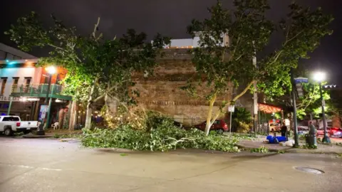 Houston trees downed