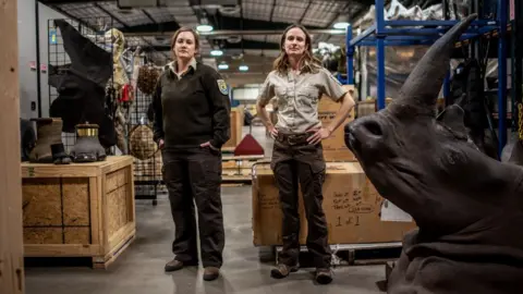 BBC Elisa Dahlberg and Sarah Metzer surrounded by items such as turtle shells, elephant feet, a dead rhino head and much more