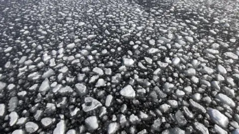 Getty Images Arctic ice