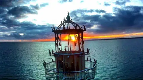 Steve Liddiard Lighthouse