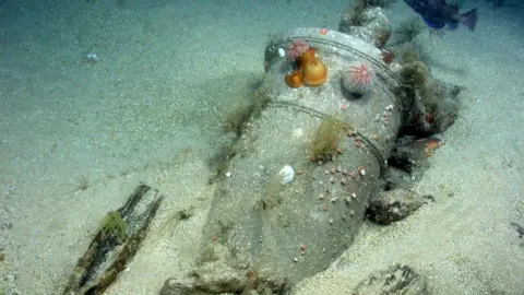 Maritime Heritage Foundation & Odyssey Marine Expl A bronze gun on the Victory wreck