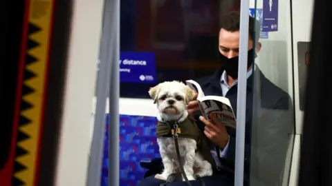 PA Media Dog on train