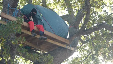 Jamie Niblock/BBC A protester occupying an oak tree in Rochford