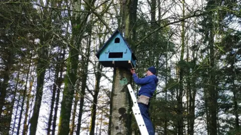 NI Badger Group Barn owl box