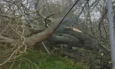 Zoological Society of East Anglia Damage lion enclosure