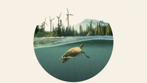 Promotional image for the Future Earth newsletter featuring a composite shot of turtles swimming against a backdrop of forests, mountains, and wind turbines.