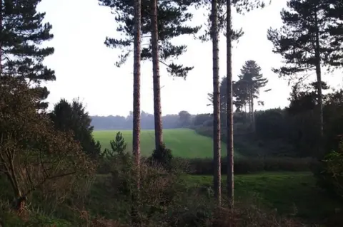 Geograph/Simon Leatherdale Alleged site of UFO landing in Rendlesham Forest in Suffolk