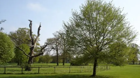 Geograph/Oxymoron Chantry Park