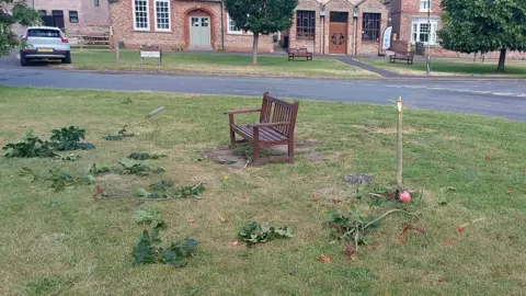 A damaged chestnut tree