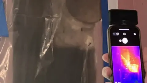 Ashley Massis Class A bee hive stretches nearly from the ceiling to the floor of a wall