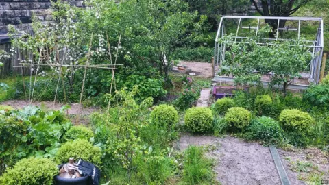 Allotment, West Yorkshire (Image: BBC)