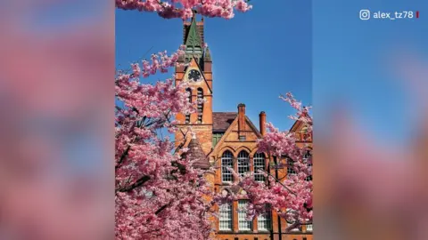 BBC Oozells Square blossom