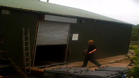 BBC Man apparently carrying fox cub into a shed