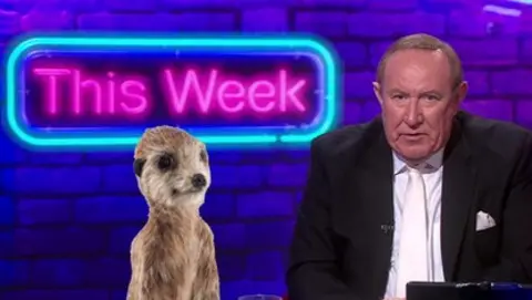 Andrew Neil and meerkat