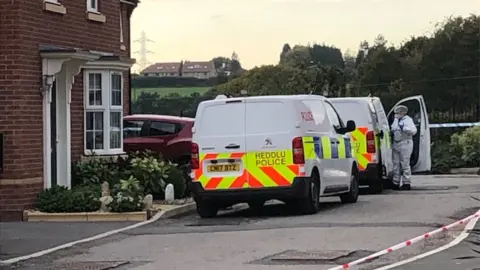 Scenes of Crime team at property in Cypress Crescent, St Mellons, Cardiff