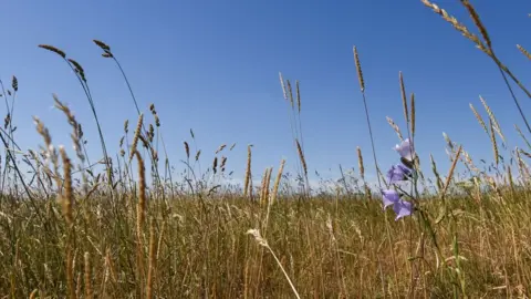 Michael Scott and Caters News National Trust Peak District meadows
