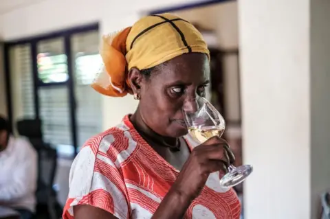 AFP A worker of Awash Wine smells a glass of wine during a wine testing organized for employees in the farm of Awash Wine, in the area of Merti, 120 kilometres from Addis Ababa, Ethiopia, on June 24, 2022